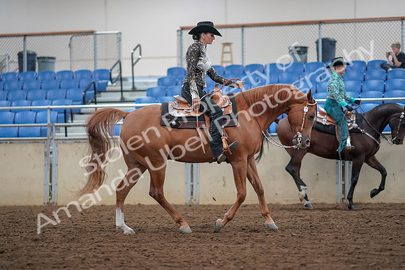 2019 Morgan Horse Show - Aug 30, 2019 - 16968