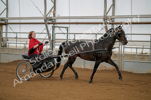 July 20, 2019 - 00233
