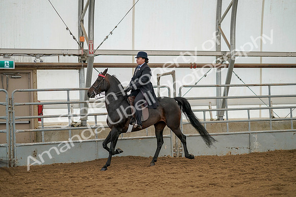 July 20, 2019 - 04342