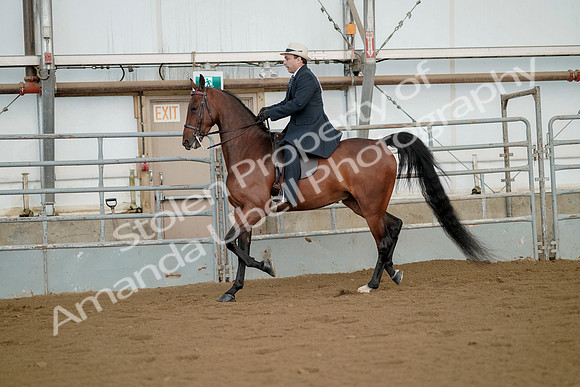 July 21, 2019 - 01568