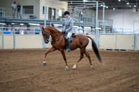 2020 - AB Morgan Horse - Fri, Sept 04 - 01465