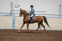 2020 - AB Morgan Horse - Sat, Sept 05 - 03042