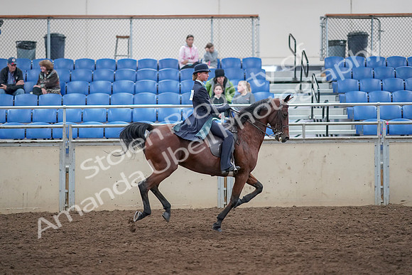 2019 Morgan Horse Show - Aug 31, 2019 - 09715