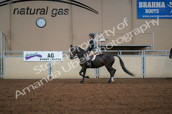 2019 Morgan Horse Show - Aug 30, 2019 - 23249