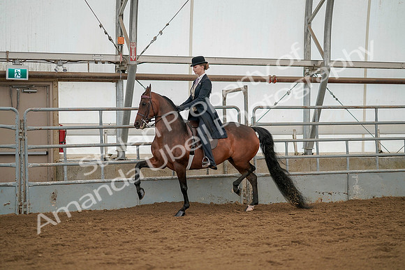 July 20, 2019 - 04261