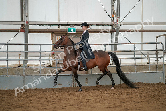 July 20, 2019 - 04274