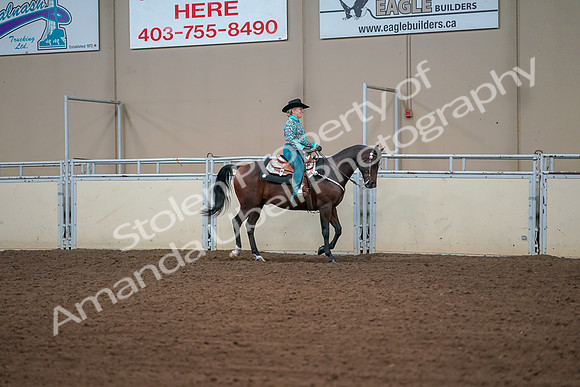 2019 Morgan Horse Show - Aug 30, 2019 - 17037