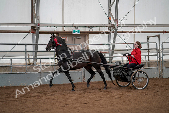 July 20, 2019 - 00312