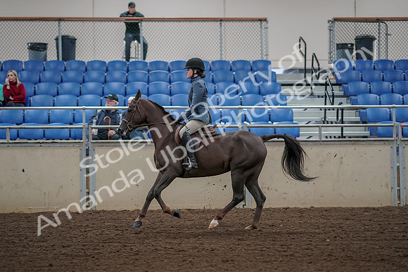 2019 Morgan Horse Show - Aug 31, 2019 - 05125