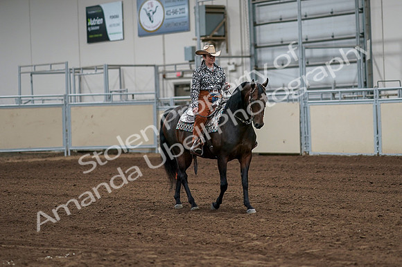 2020 - AB Morgan Horse - Fri, Sept 04 - 00300