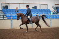 2019 Morgan Horse Show - Aug 30, 2019 - 17253