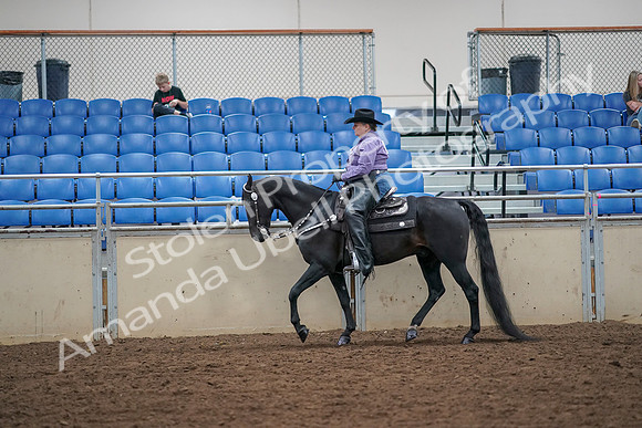 2019 Morgan Horse Show - Aug 30, 2019 - 16750