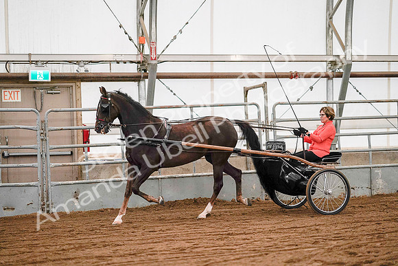 July 19, 2019 - 6976