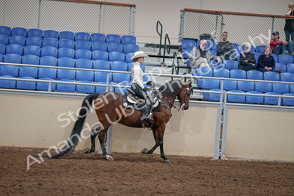 2020 - AB Morgan Horse - Fri, Sept 04 - 08455