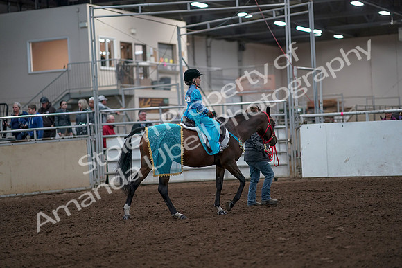 2019 Morgan Horse Show - Aug 31, 2019 - 10037