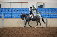 2019 Morgan Horse Show - Aug 30, 2019 - 23112