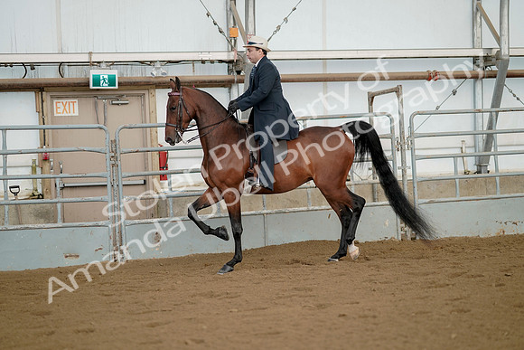 July 21, 2019 - 01562
