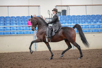 2019 Morgan Horse Show - Aug 30, 2019 - 27869