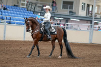 2020 - AB Morgan Horse - Fri, Sept 04 - 08247