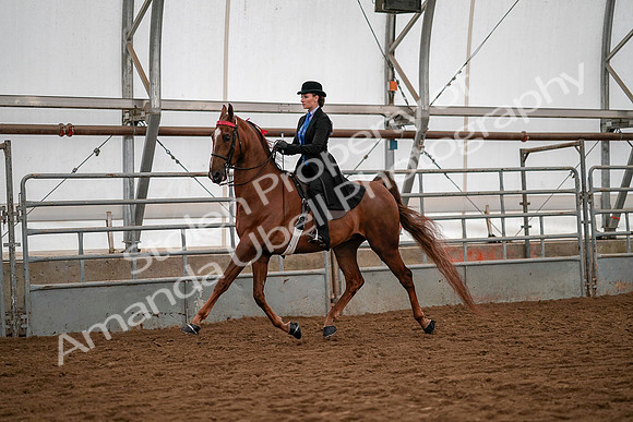 July 19, 2019 - 10290