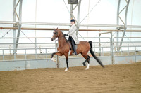 Class 069 - All Breed Jr-Sr Rider