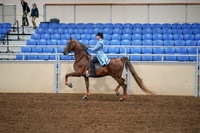 2020 - AB Morgan Horse - Sat, Sept 05 - 03325