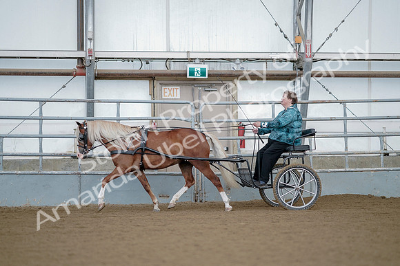 July 21, 2019 - 06813