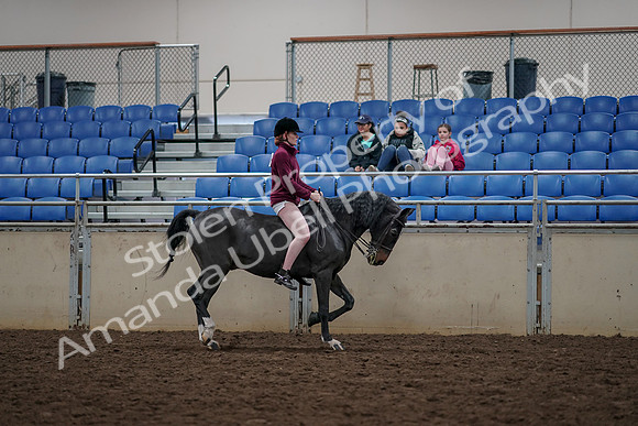 2019 Morgan Horse Show - Aug 30, 2019 - 31359