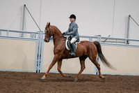2020 - AB Morgan Horse - Sat, Sept 05 - 03036