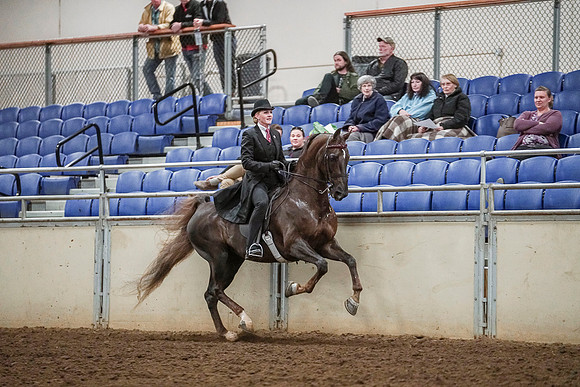 Spring Fling - Saturday - April 20, 2019  -  03608