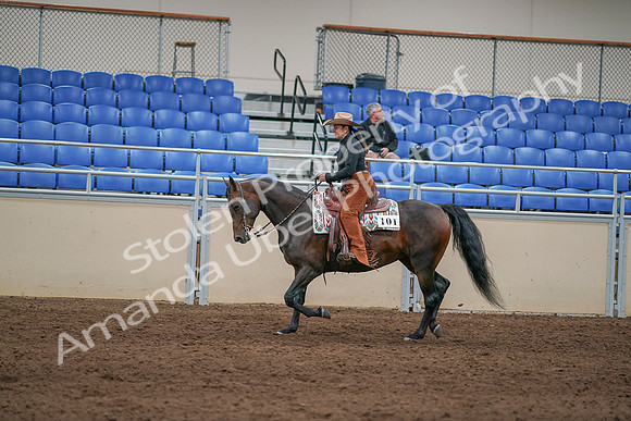 2020 - AB Morgan Horse - Sun, Sept 06 - 01613