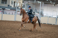 2020 - AB Morgan Horse - Sat, Sept 05 - 09378