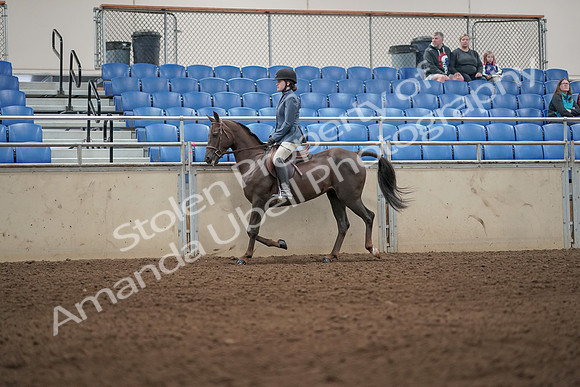 2019 Morgan Horse Show - Aug 31, 2019 - 04893