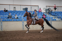 2019 Morgan Horse Show - Sept 01, 2019 - 07377