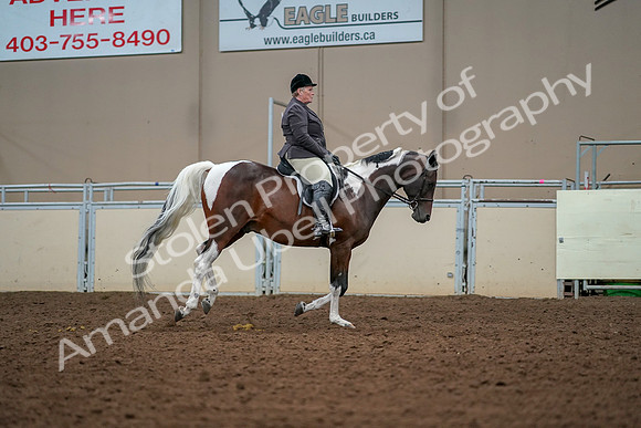 2019 Morgan Horse Show - Aug 30, 2019 - 22578
