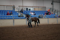 2019 Morgan Horse Show - Aug 30, 2019 - 25683