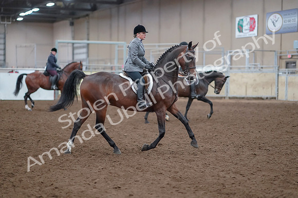 2019 Morgan Horse Show - Aug 30, 2019 - 20658
