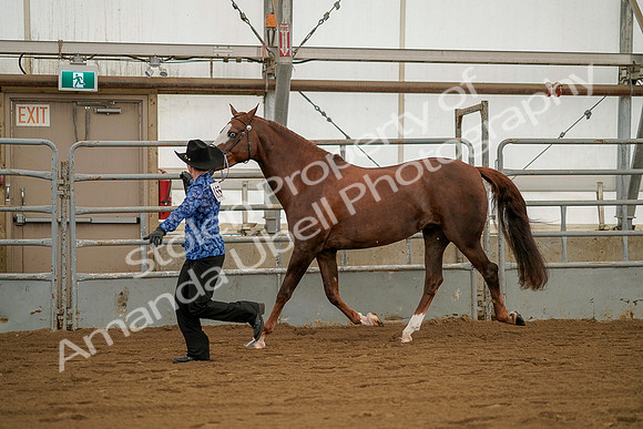 July 19, 2019 - 1290