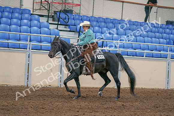 2020 - AB Morgan Horse - Sun, Sept 06 - 01617