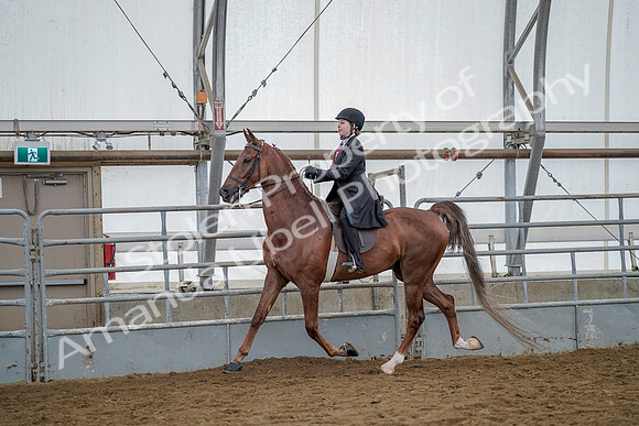 July 20, 2019 - 14611