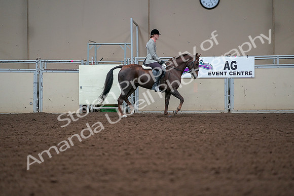 2019 Morgan Horse Show - Aug 30, 2019 - 18502