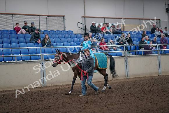 2019 Morgan Horse Show - Aug 31, 2019 - 09941