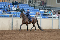 2020 - AB Morgan Horse - Sat, Sept 05 - 04754