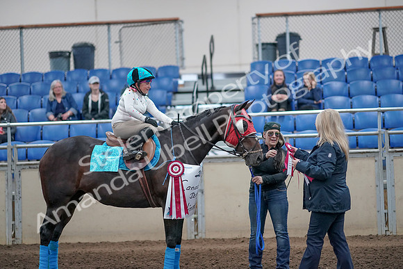 2019 Morgan Horse Show - Aug 31, 2019 - 10189