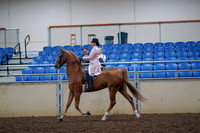 2019 Morgan Horse Show - Aug 30, 2019 - 21399