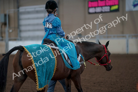 2019 Morgan Horse Show - Aug 31, 2019 - 09963