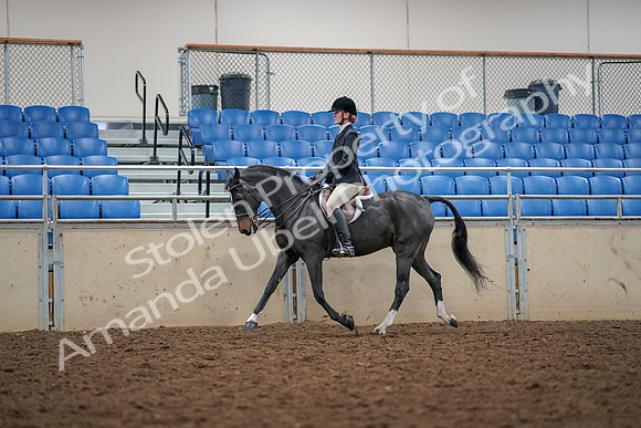2019 Morgan Horse Show - Aug 30, 2019 - 23283