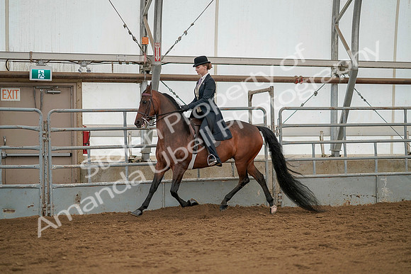 July 20, 2019 - 04263