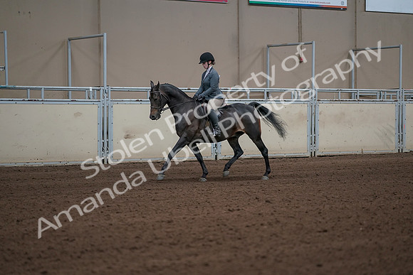 2019 Morgan Horse Show - Sept 01, 2019 - 10905_1