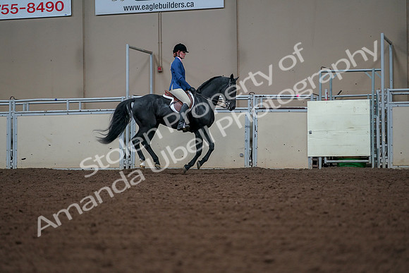 2019 Morgan Horse Show - Aug 30, 2019 - 18612